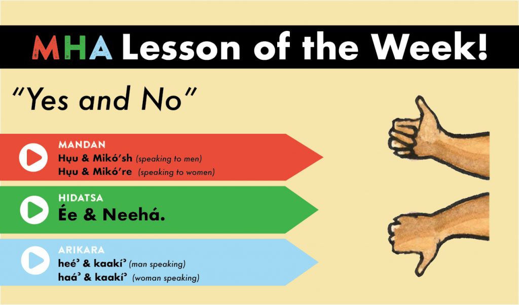 lesson_4_yes_and_no